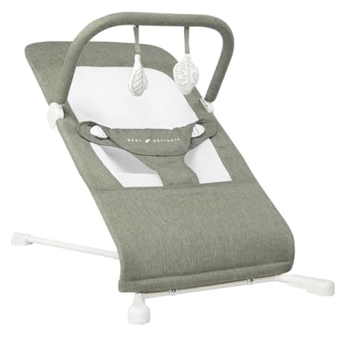 Baby Delight Highland Baby Bouncer | Infant | 0 – 6 Months | 3-Position Recline | Sage Tweed