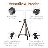 Amazon Basics 50-inch Lightweight Portable Camera Mount Tripod Stand with Bag, for Travel Photography, Champagne 2