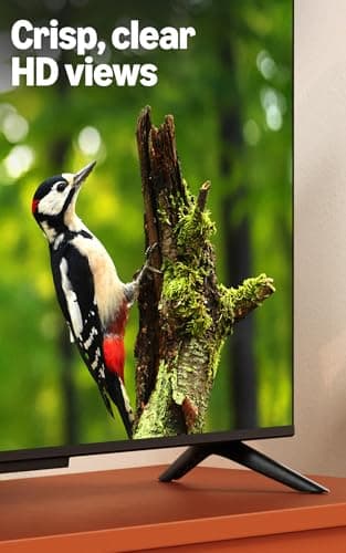 Amazon Fire TV 32" 2-Series (newest model), HD smart TV with Alexa Remote, fast streaming, Dolby Audio, Ambient Experience, free and live TV 5