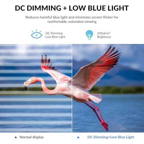 ZZA 32 Inch 4K UHD Curved Monitor (3840x2160), VA,60Hz Refresh Rate, 100% sRGB, Adaptive Sync, 178° Viewing Angle, HDMI/DisplayPort, VESA 100x100mm Mount Compatible, Tilt Adjustable - Black 3