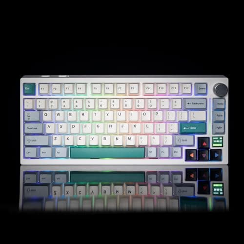 GK GAMAKAY TK75 V2 75% Silent Mechanical Keyboard with TFT Screen, Hot Swap RGB Bluetooth 5.0/2.4GHz Wireless/USB-C Wired PBT Cherry Profile Keycaps Gaming Keyboard (GamaKay Pegasus Switch) 4