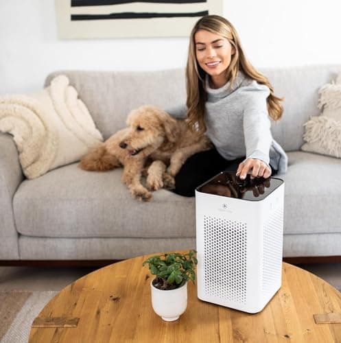 Medify MA-25 Air Purifier with True HEPA H13 Filter | 825 ft² Coverage in 1hr for Allergens, Smoke, Wildfires, Odors, Pollen, Pet Dander | Removal to 0.1 Microns | White, 2-Pack 2