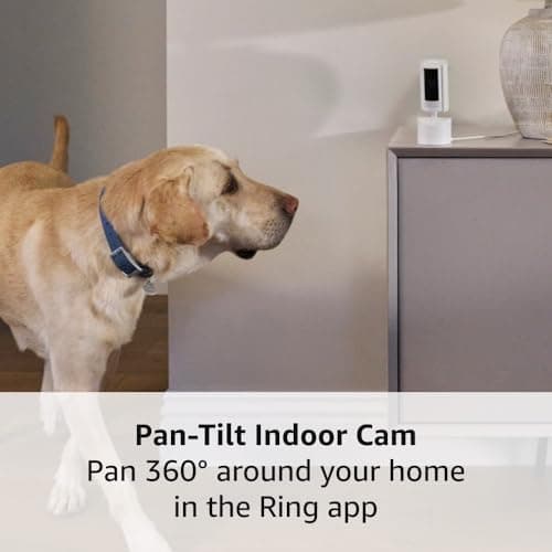 Outdoor Cam Plus Battery, White with Ring Pan-Tilt Indoor Cam, White 5