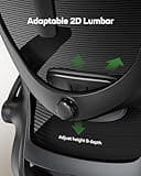 Marsail Ergonomic Office Chair: Office Computer Desk Chair with High Back Mesh and Adjustable Lumbar Support Rolling Work Swivel Task Chairs with Wheel 3D Armrests and Headrest 3