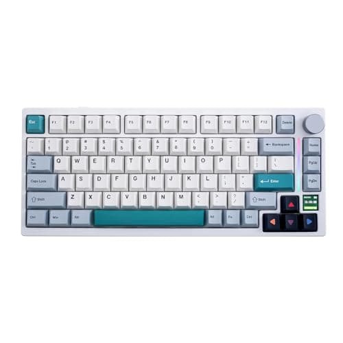 GK GAMAKAY TK75 V2 75% Silent Mechanical Keyboard with TFT Screen, Hot Swap RGB Bluetooth 5.0/2.4GHz Wireless/USB-C Wired PBT Cherry Profile Keycaps Gaming Keyboard (GamaKay Pegasus Switch)