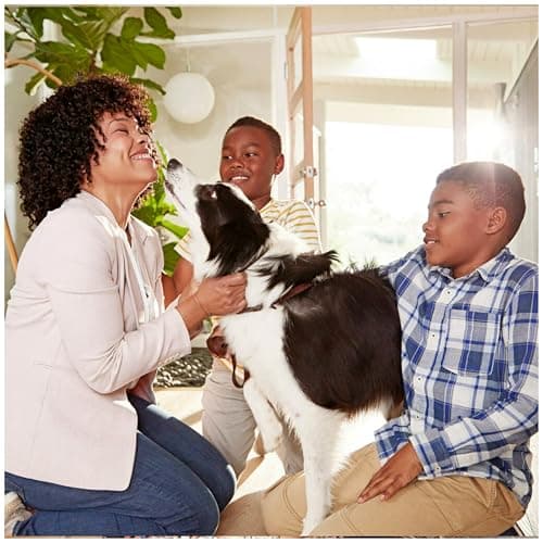 Filtrete 20x25x1 AC Furnace Air Filter, MERV 11, MPR 1000, Micro Allergen Defense, 3-Month Pleated 1-Inch Electrostatic Air Cleaning Filter, 2 Pack (Actual Size 19.688 x 24.688 x 0.84 in) 2