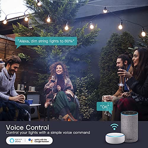 TREATLIFE 2 in 1 Outdoor Smart Dimmer Plug, 2 Individual Control Sockets, 600W, Compatible with Alexa, Google Home, IP64 Dimmer for Outdoor String Lights, Dusk to Dawn, 2.4GHz WiFi Only 4