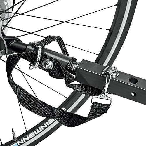 Allen Sports Deluxe Steel Child Trailer 5