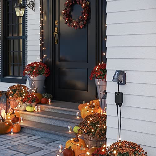 Wyze Plug Outdoor, Dual Outlets Energy Monitoring, IP64, 2.4GHz WiFi Smart Plug, Works with Alexa, Google Assistant, IFTTT, No Hub Required, Black 2