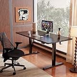 ErGear Height Adjustable Electric Standing Desk, 47.2 x 23.6 Inches Sit Stand up Desk, Memory Computer Home Office Desk with Two-Piece Desktop (Black) 2