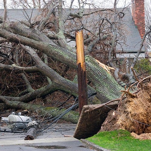 Uniden BearTracker Scanner (BCT15X) with 9,000 Channels, TrunkTracker III Technology, Base/Mobile Design, Close Call RF Capture Technology with Location-Based Scanning, - Black Color 3