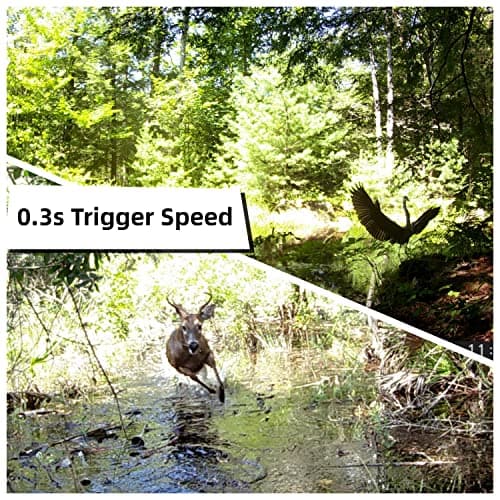 WOSODA 2 Pack Trail Cameras with Night Vision Motion Activated Waterproof,30MP Game Camera,1080P HD Trail Cam with SD Card for Wildlife Monitoring,Outdoor Scouting & Security 4